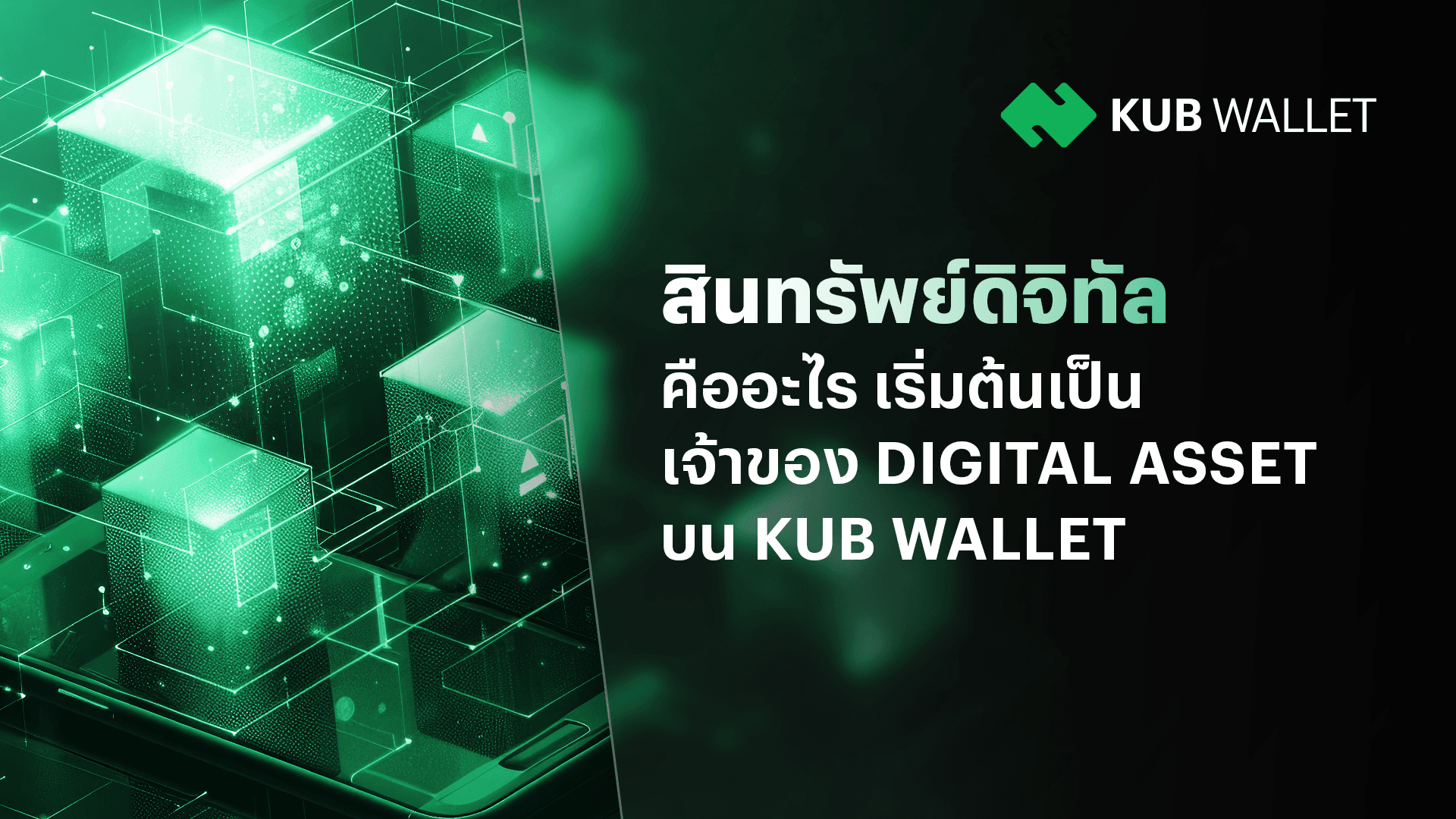 Digital-Assets:-What-are-They?-Start-Owning-on-KUB-Wallet-background